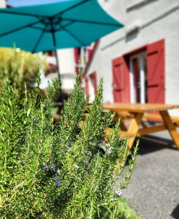 Garden - Utopy Hostel Biarritz Eksteriør billede